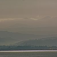 Wellington